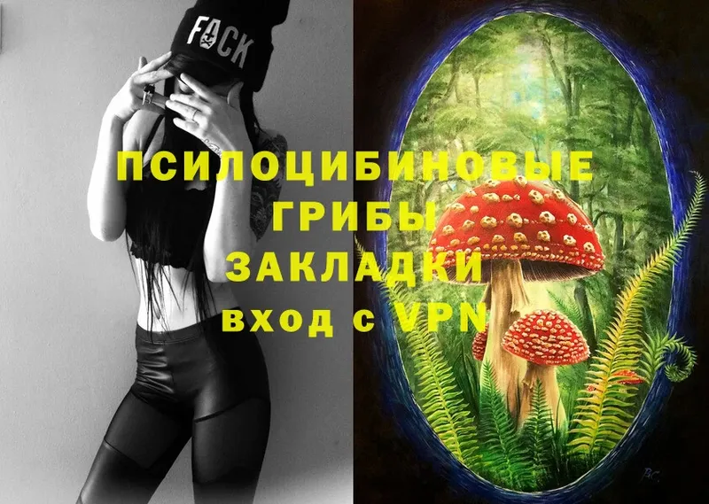 Псилоцибиновые грибы MAGIC MUSHROOMS  Родники 